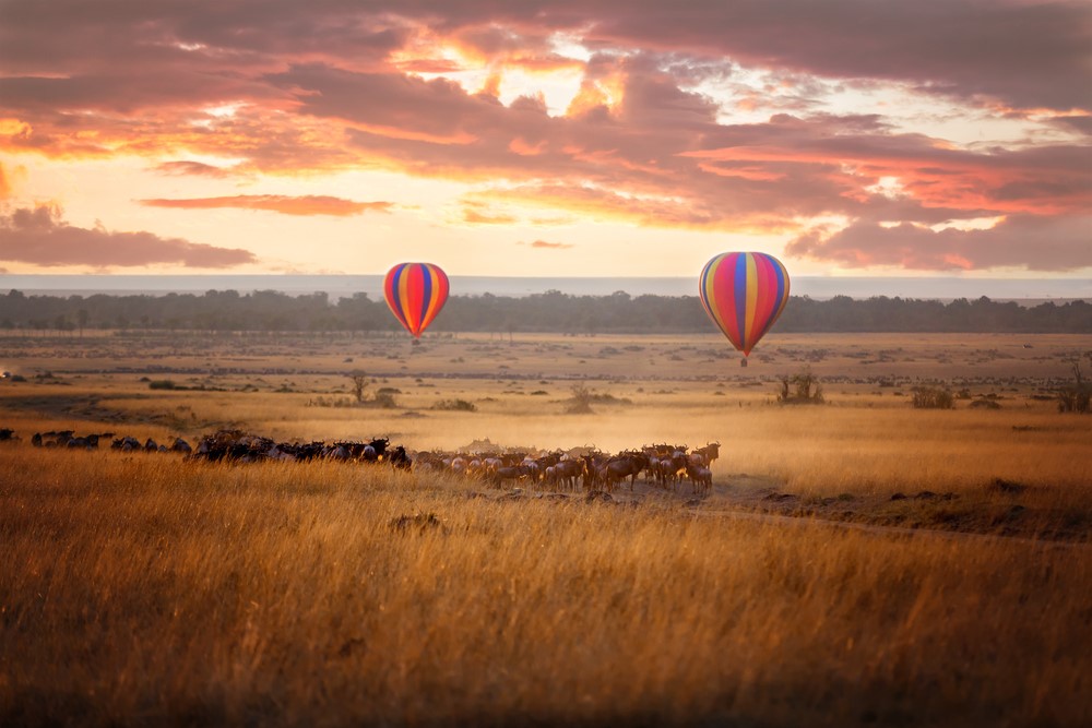 While countless memories have been created abroad, Pete recalls his African safari a highlight.