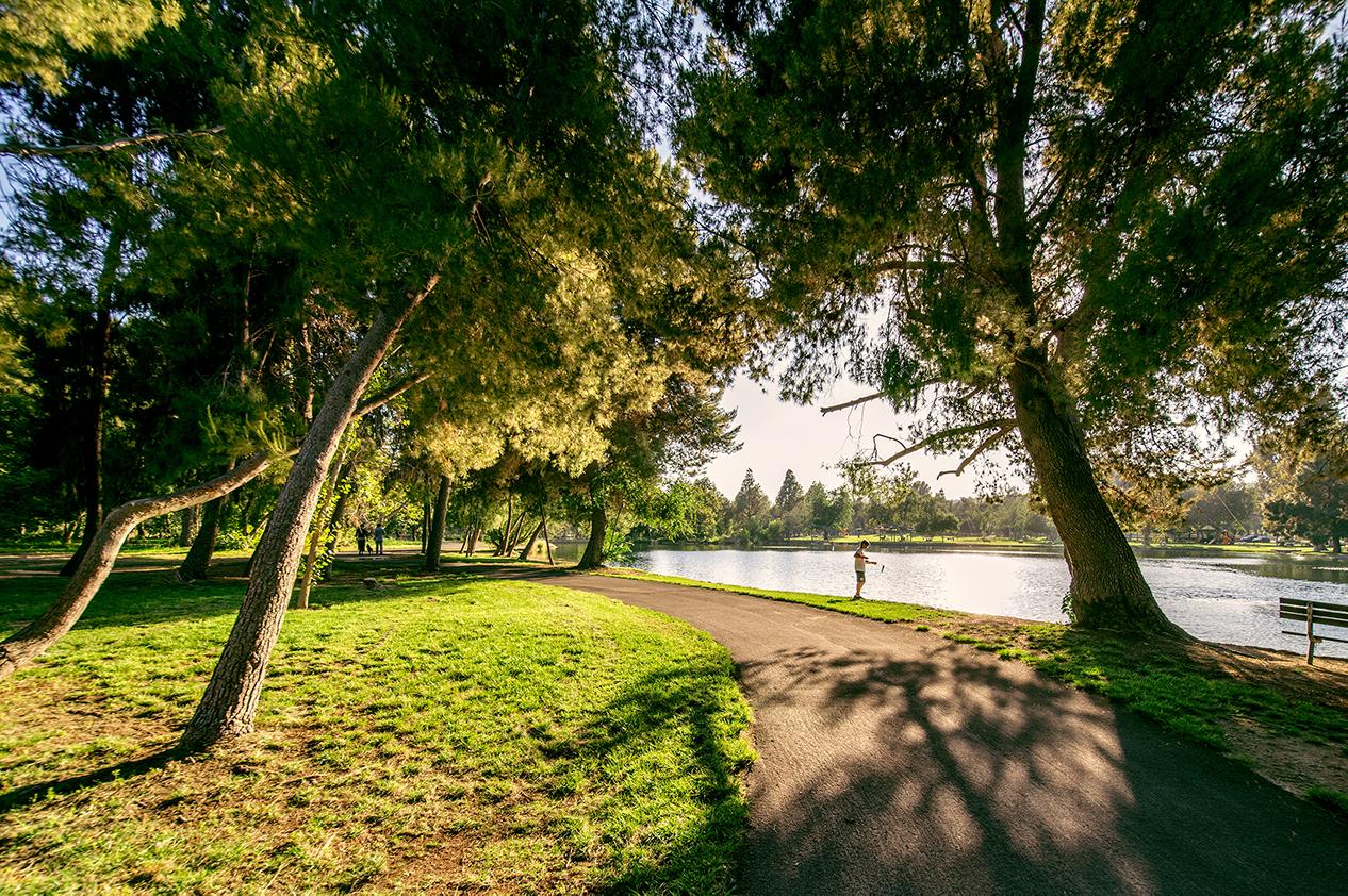 A sunny park in Anaheim California