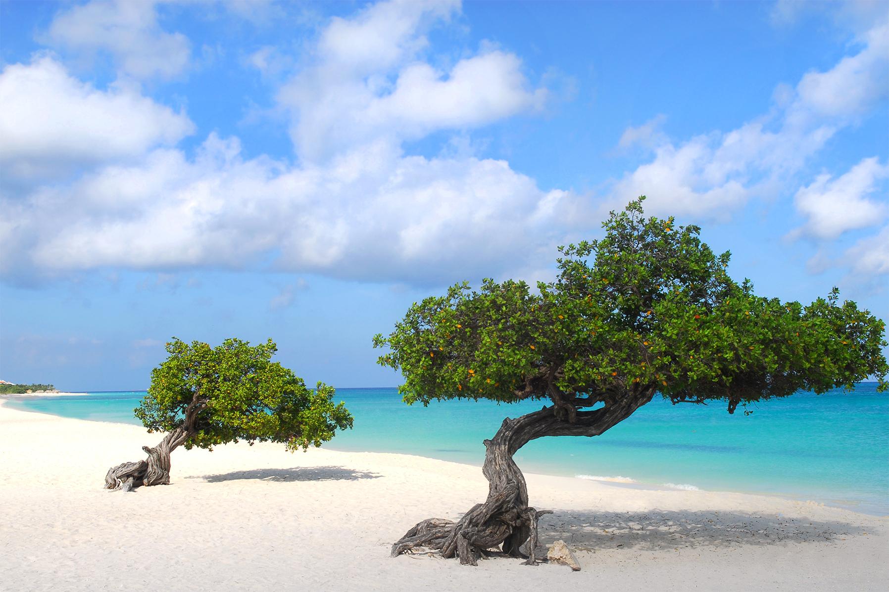 Beach view on an Aruba vacation