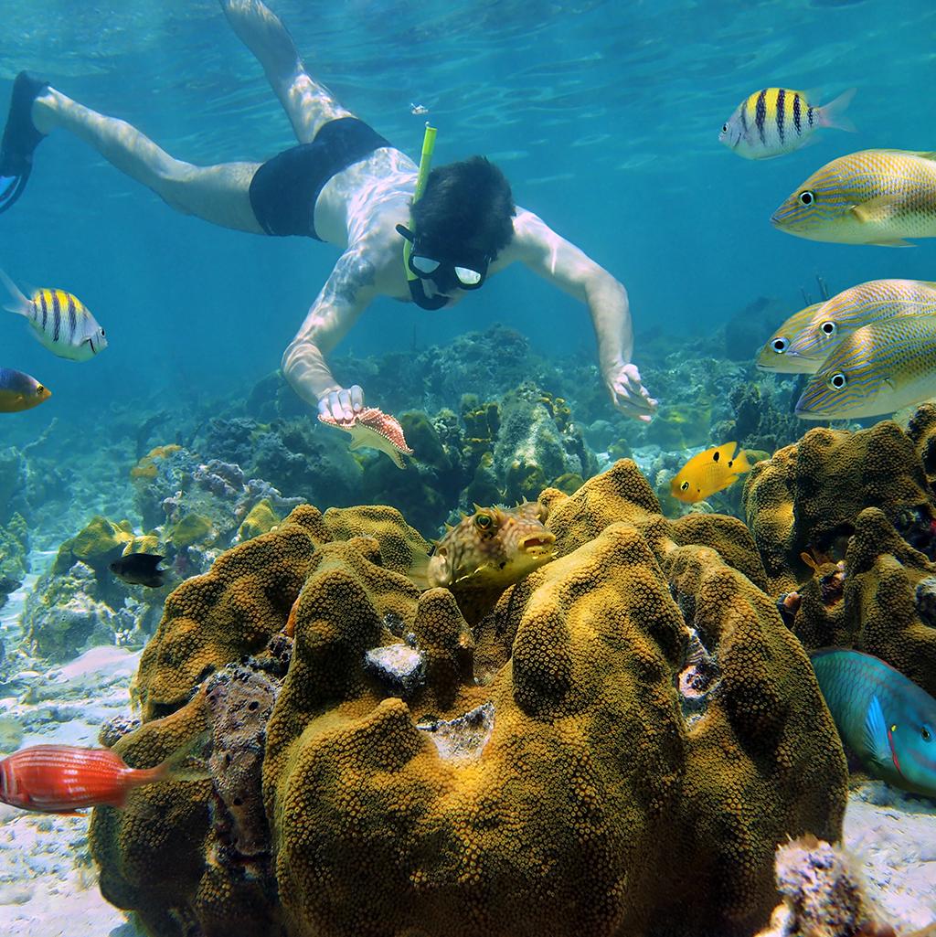 Snorkeling in Cozumel