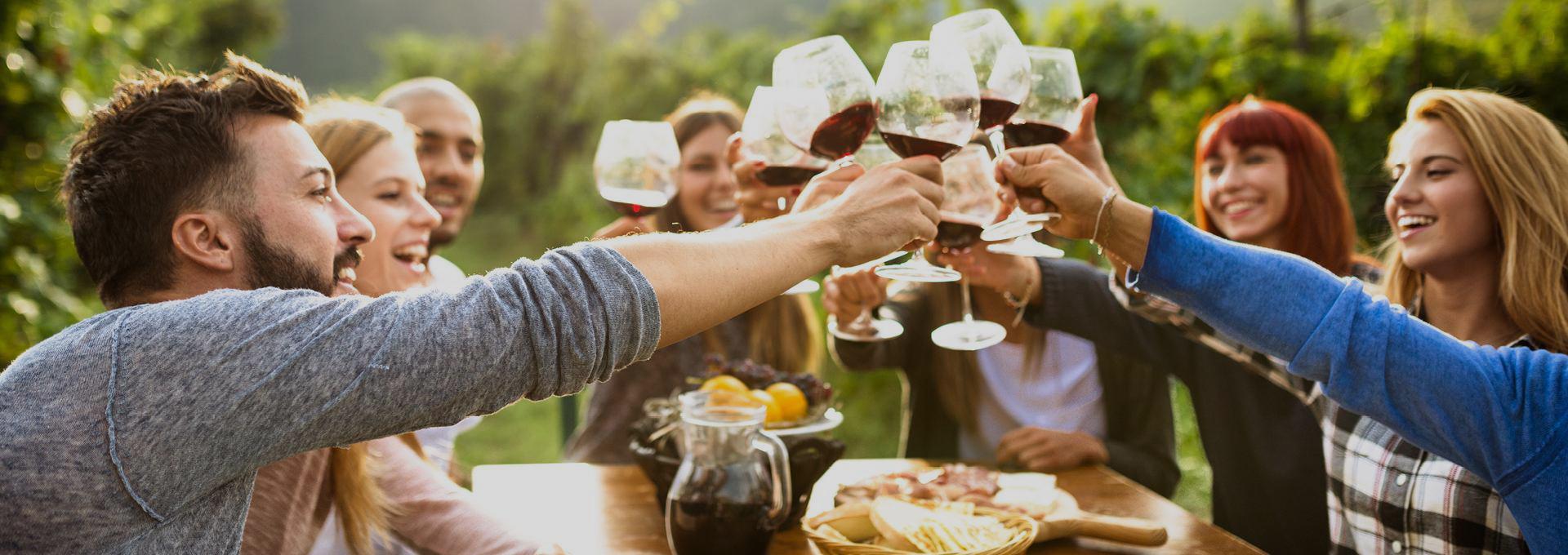 Group toast over a shared meal to getting the gang back together