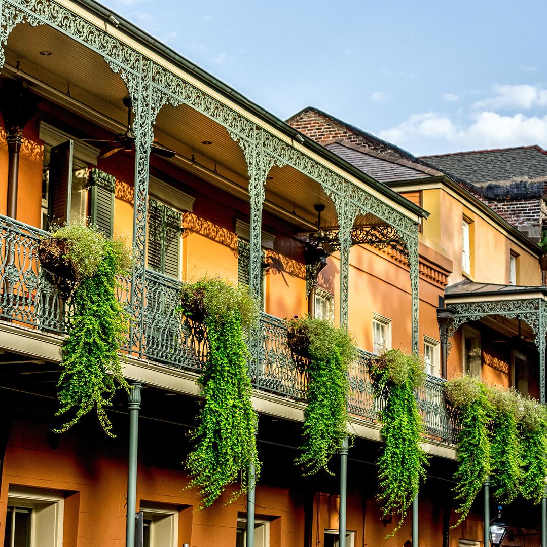 Plants hang along the sides of iron galleries in the famous French Quarter