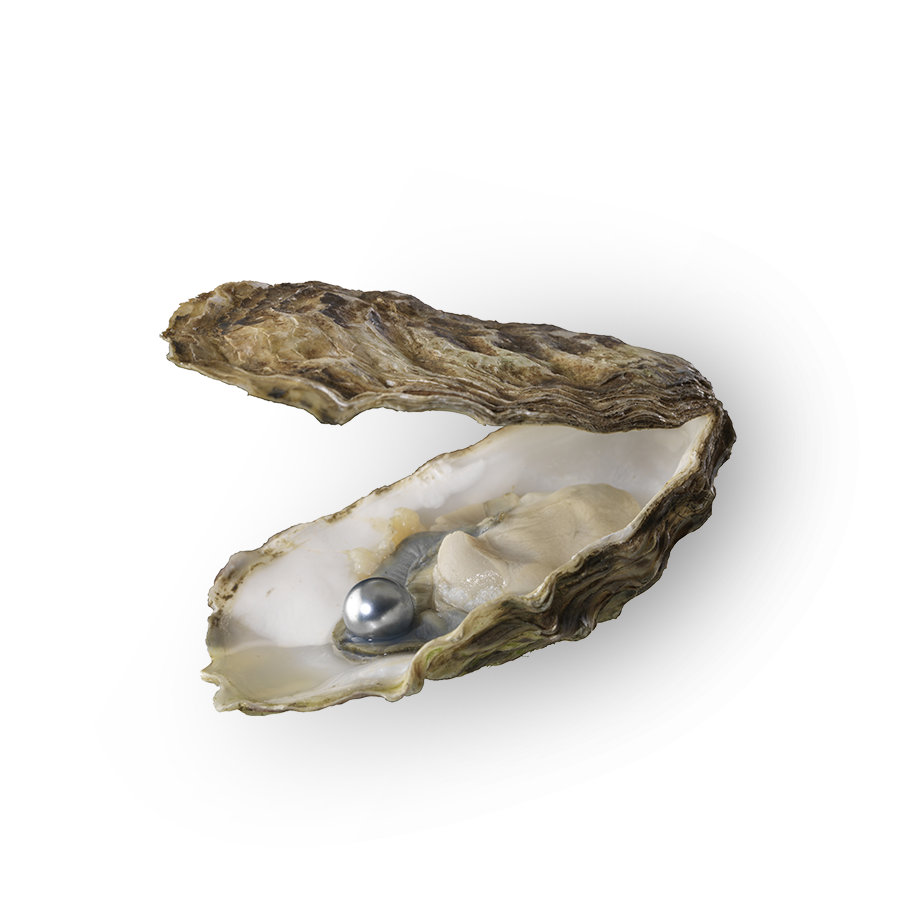 Pearl in an oyster from Papeete Tahiti