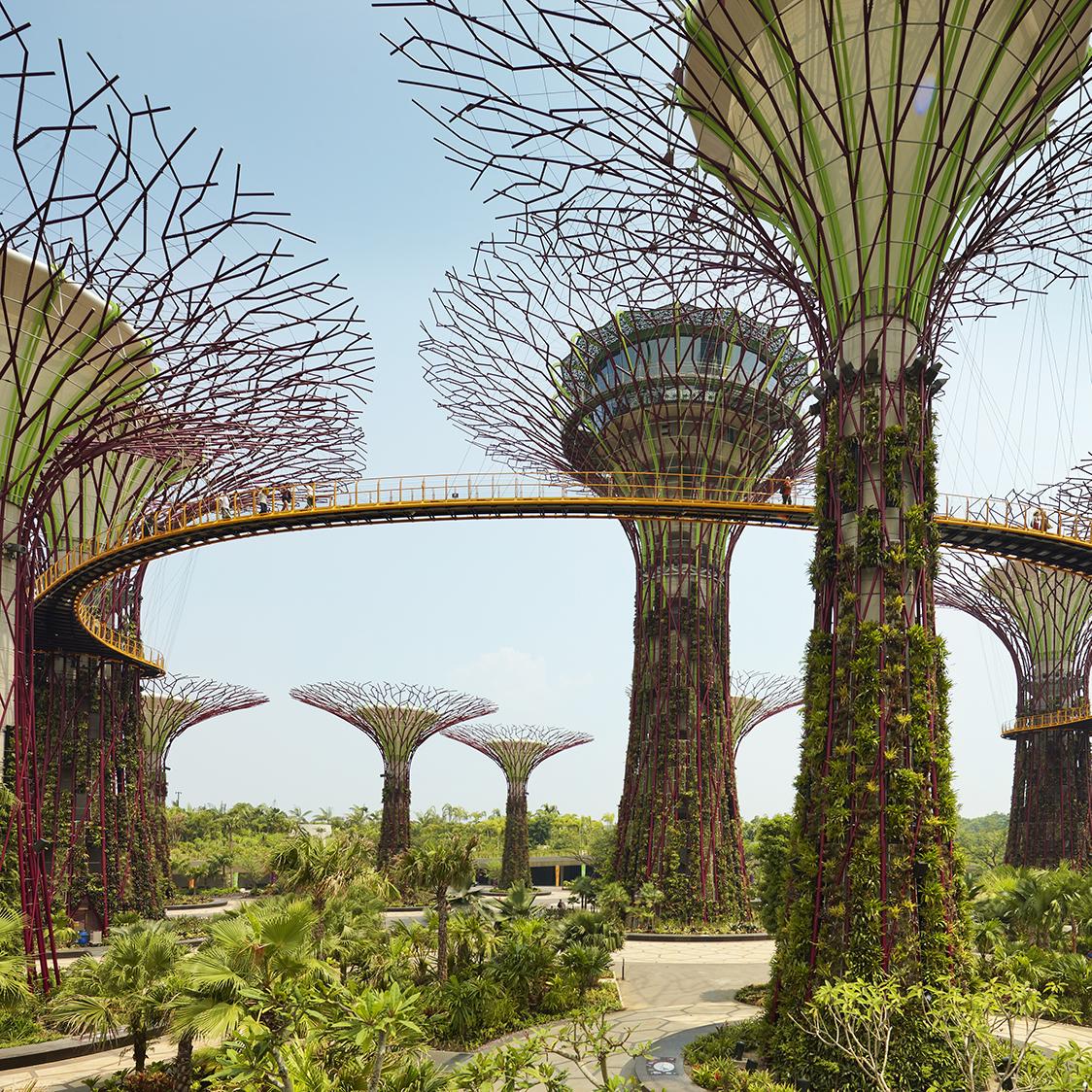 Beautiful botanical gardens in Singapore