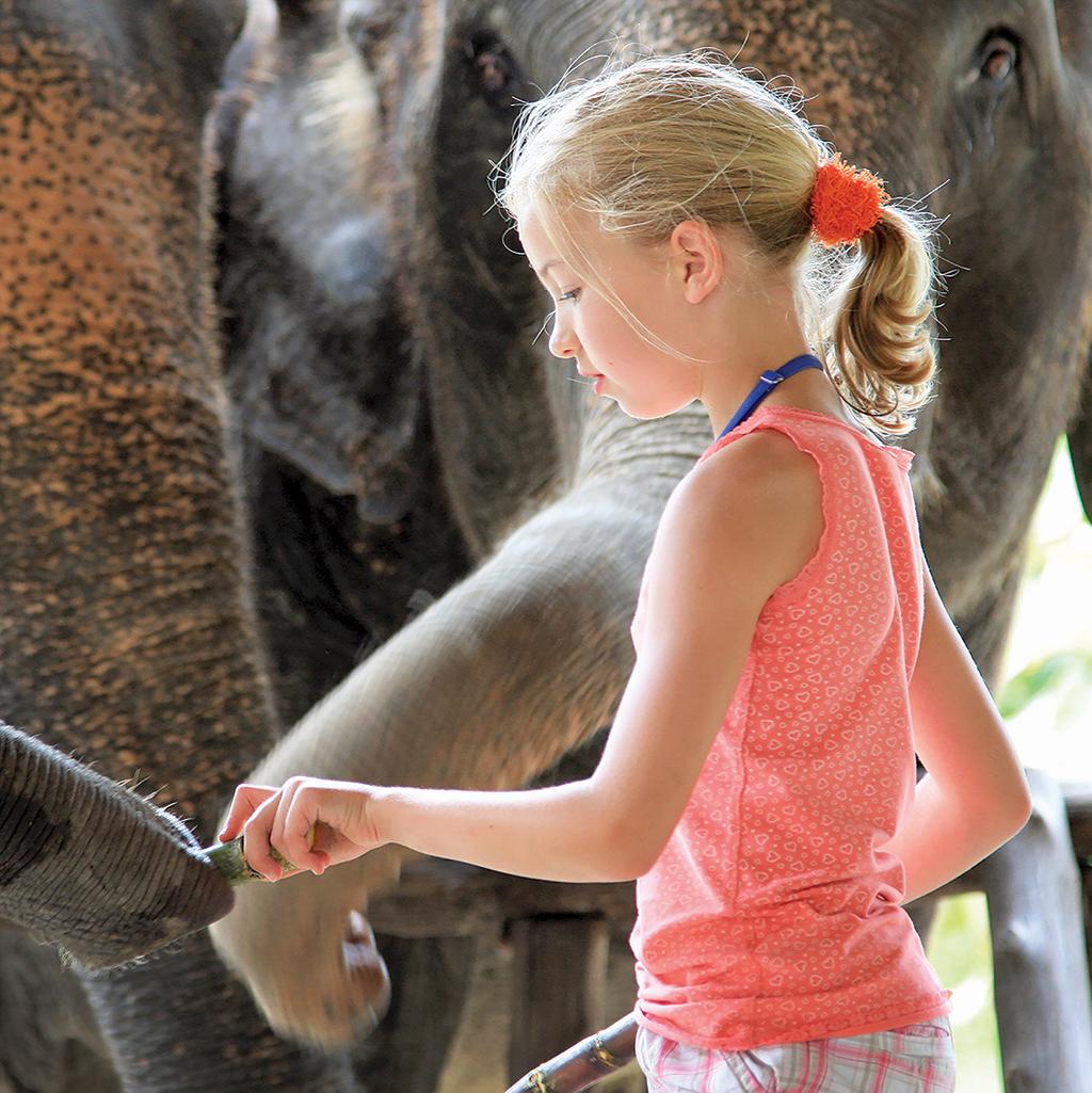 Visit the Elephant Hills on a Thailand vacation