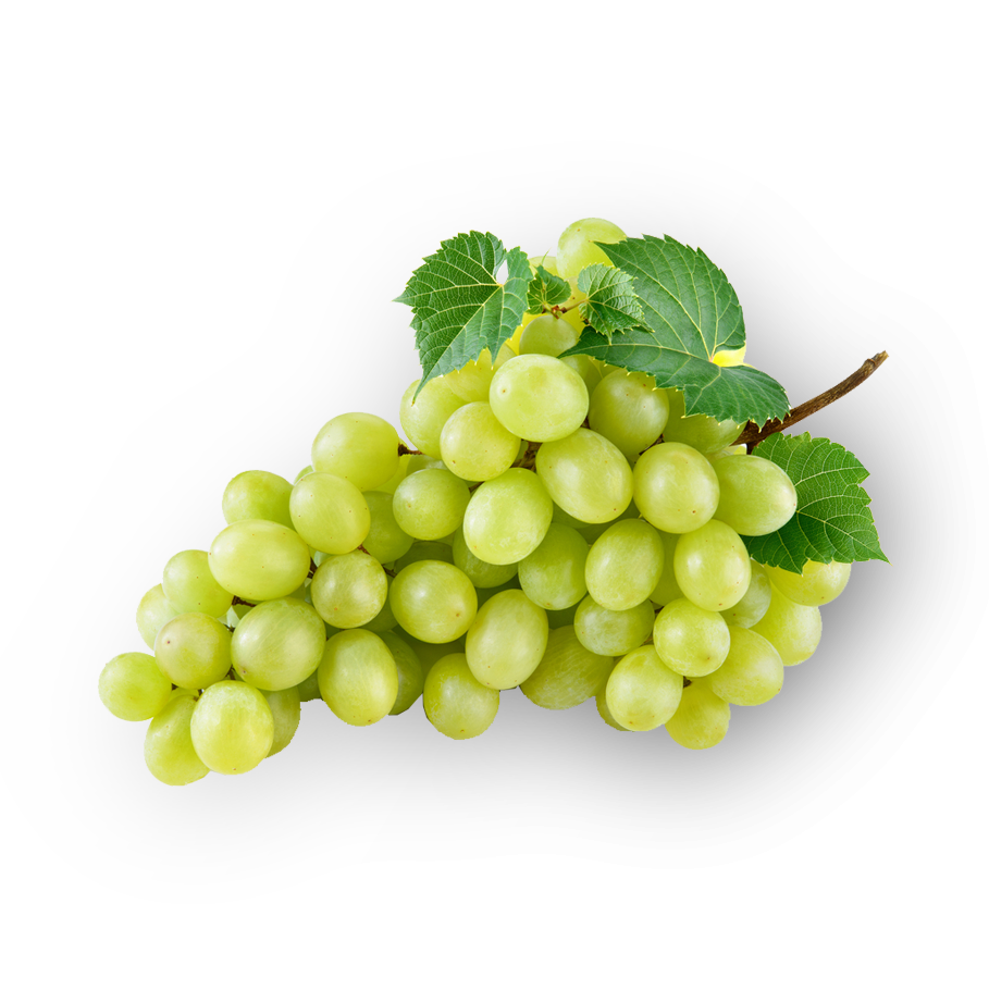 California wine grapes