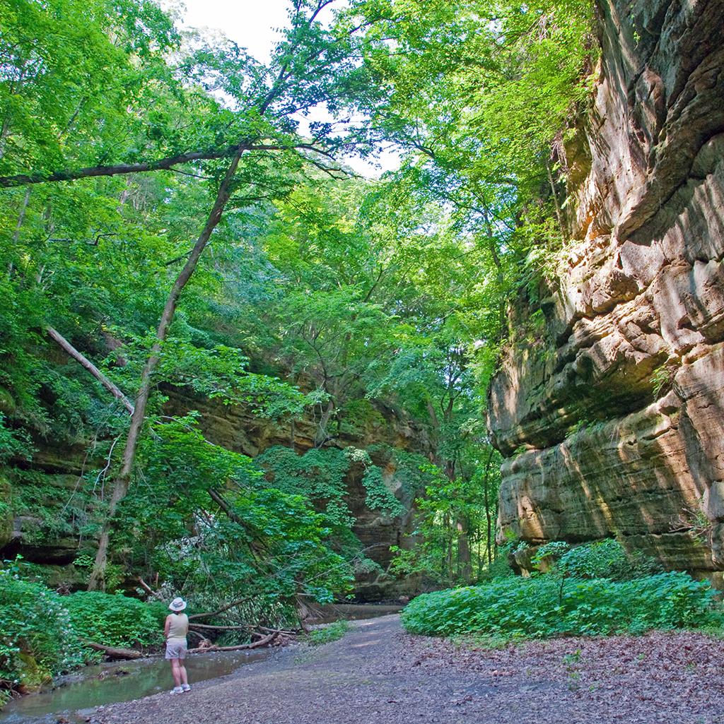 Hiking among cliffs and waterfalls in Illinois