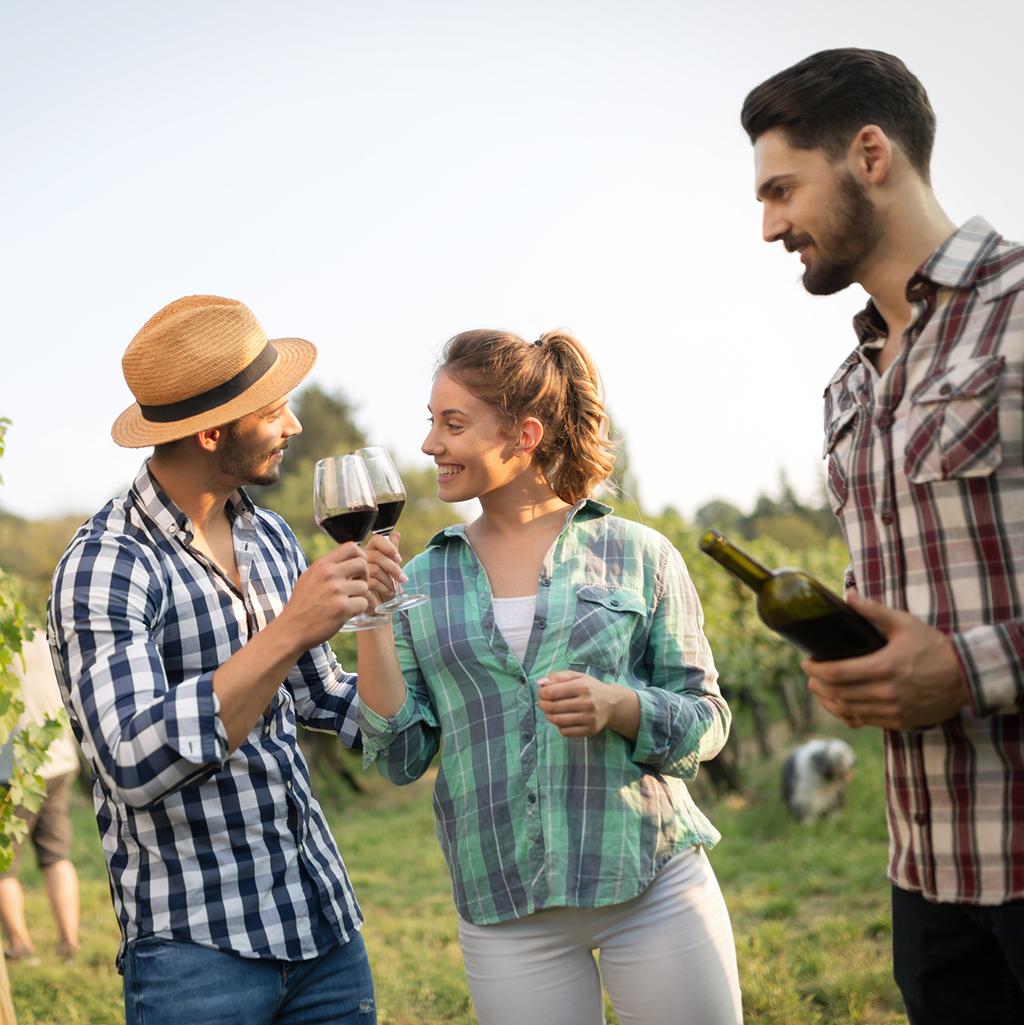 Wine tasting in Melbourne