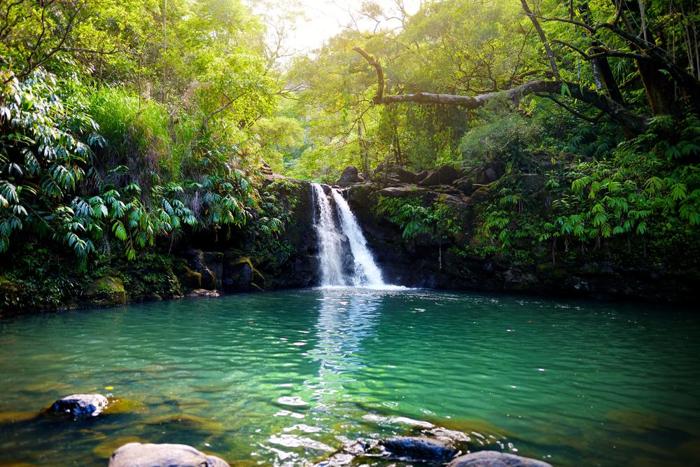 Off Road to Hana Highway, Maui